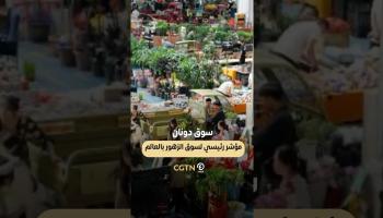 سوق دونان.. مؤشر رئيسي لسوق الزهور بالعالم