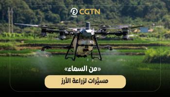 «من السماء».. طائرات دون طيار تزرع الأرز في الصين