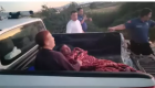 Manavgat'ta hayvan parkından kaçan aslan bir kişiyi yaraladı