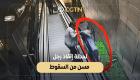 بوابة العين الإخبارية