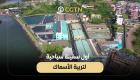 بوابة العين الإخبارية