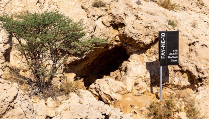 «الفاية» على قائمة التراث العالمي