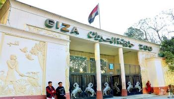 حديقة الحيوان في الجيزة - أرشيفية 