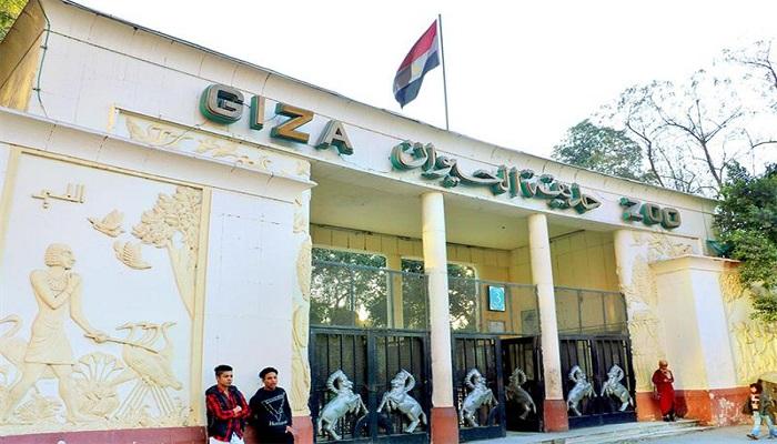 حديقة الحيوان في الجيزة - أرشيفية 