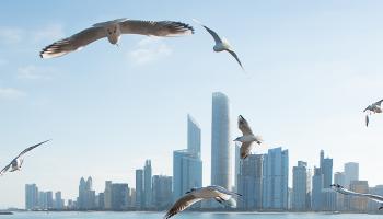 الإمارات تتصدر العالم في الأمان لعام 2025