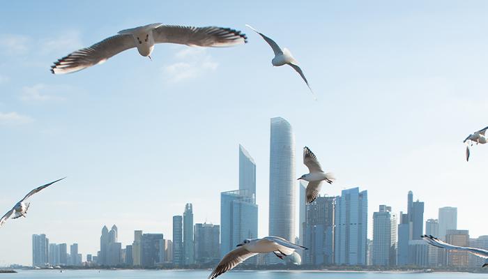 الإمارات تتصدر العالم في الأمان لعام 2025