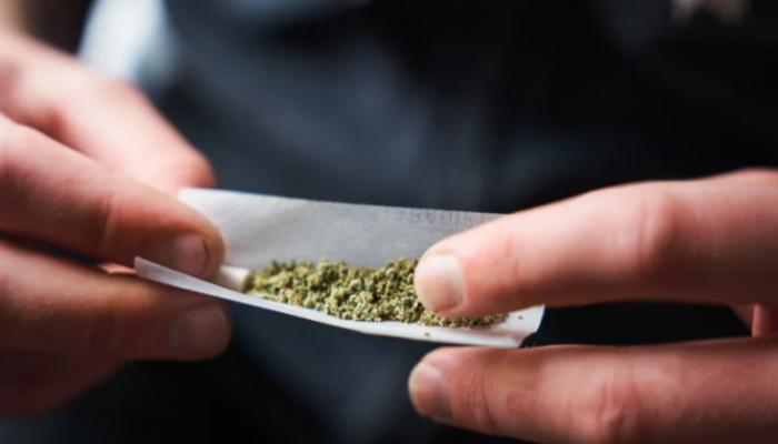 تحذيرات طبية من تدمير الحشيش للدماغ والقلب