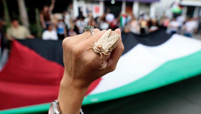 مظاهرات في المكسيك تطالب بوقف الحرب على غزة