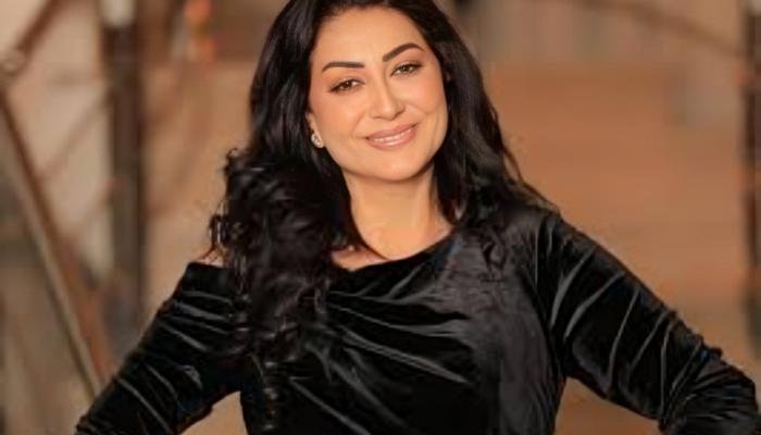 الفنانة المصرية وفاء عامر 