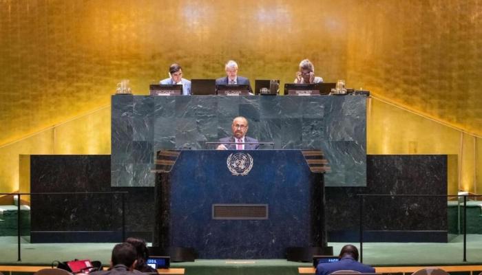 خليفة شاهين المرر خلال كلمته بـ«مؤتمر تسوية القضية الفلسطينية»