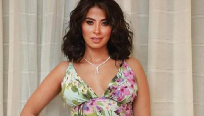 الفنانة روبي