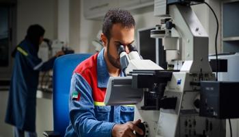 الإمارات العالمية للألمنيوم