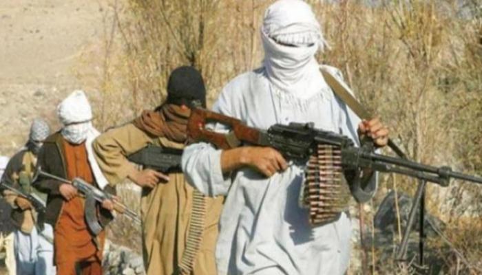 عناصر تابعة لتنظيم القاعدة - أرشيفية