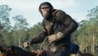 نجاح جديد لسلسلة «Planet of the Apes».. فيلم «Kingdom» يتصدر المشاهدات