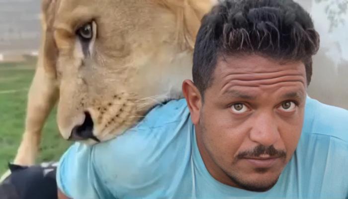 هجوم أسد على عامل مصري