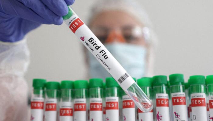 اللقاح التجريبي الجديد يعتمد على نسخة ضعيفة من الفيروس