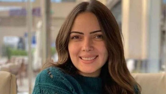 الفنانة وئام مجدي