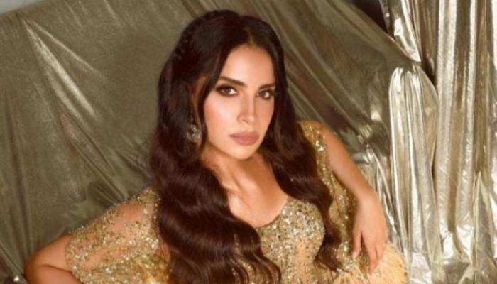 الفنانة آمال ماهر