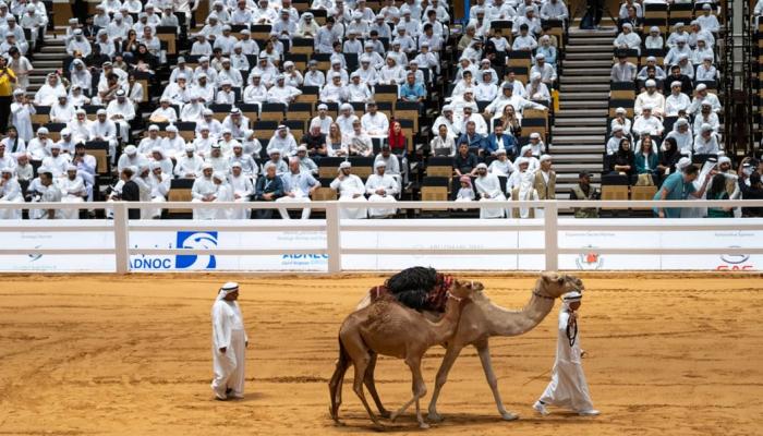 اليوم الثالث من معرض أبوظبي الدولي للصيد والفروسية