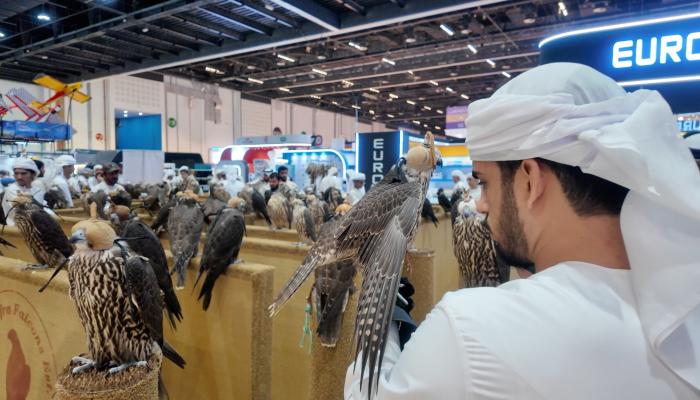 معرض أبوظبي الدولي للصيد والفروسية 2025