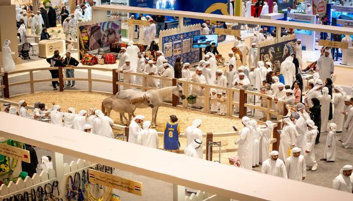أنشطة مجلس أبوظبي الرياضي في معرض الصيد والفروسية