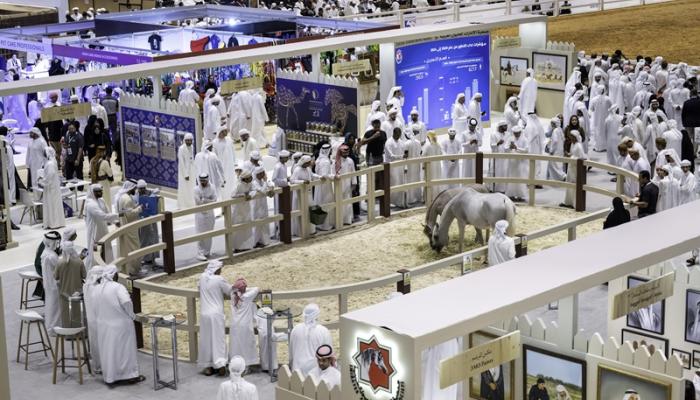 معرض أبوظبي الدولي للصيد والفروسية