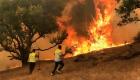 السيطرة على 10 حرائق غابات في الجزائر خلال 24 ساعة