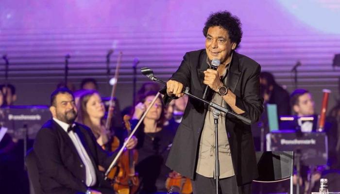 الفنان محمد منير