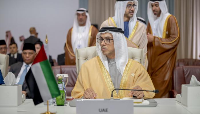 الشيخ منصور بن زايد آل نهيان 