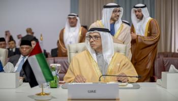الشيخ منصور بن زايد آل نهيان  خلال مشاركته في القمة