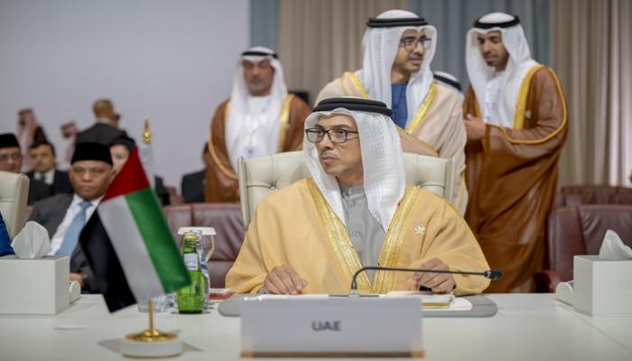 الشيخ منصور بن زايد آل نهيان  خلال مشاركته في القمة