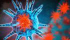 ارتفاع الإصابات بفيروس H3N2 في الهند.. هل يحمي اللقاح؟
