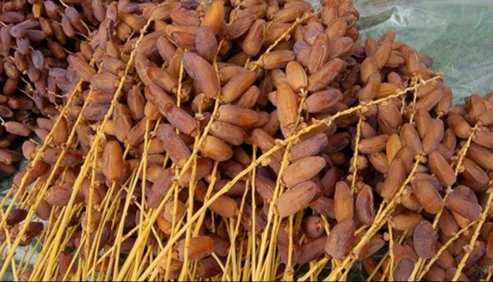 تمور «دقلة النور» التونسية