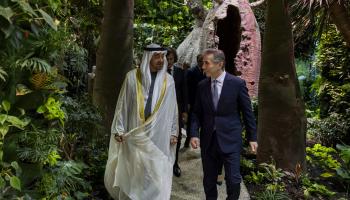 رئيس دولة الإمارات والرئيس الفخري للحزب الحاكم في جورجيا