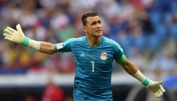 هجوم كلب بالعلمين يورط عصام الحضري وزوجته