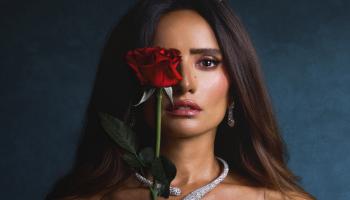 تفاصيل مسلسل ورد وشوكولاتة