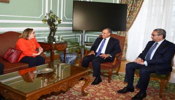 وزير الخارجية المصري يستقبل مدير القوة متعددة الجنسيات في سيناء