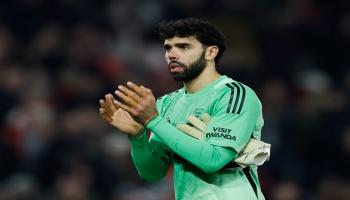 ديفيد رايا