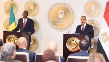 جانب من كلمة بدر عبد العاطي خلال المؤتمر الصحفي