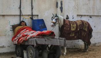 نازح فلسطيني في خان يونس