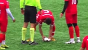 لاعب ينقذ حياة طائر نورس