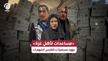 مساعدات إماراتية إلى غزة