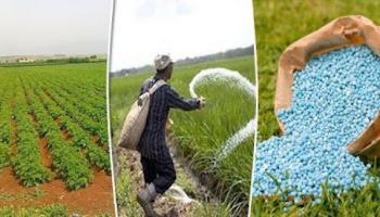 ارتفاع تكاليف الأسمدة في إثيوبيا