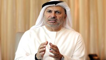 الدكتور أنور بن محمد قرقاش