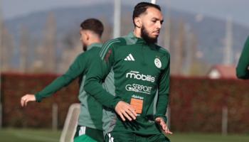 غويري نجم منتخب الجزائر
