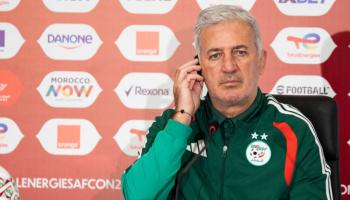 بيتكوفيتش مدرب منتخب الجزائر