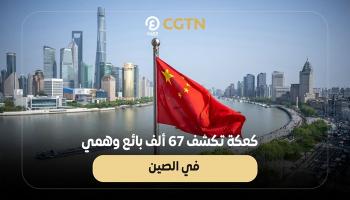  كعكة تكشف 67 ألف بائع وهمي الصين