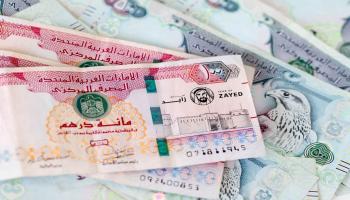 الدرهم الإماراتي 