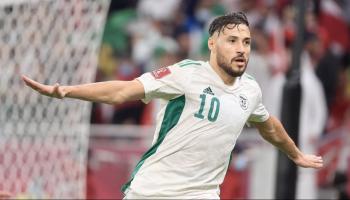 بلايلي نجم منتخب الجزائر