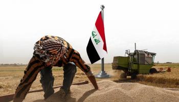 العراق يتوقع حصاد 5 ملايين طن من القمح ويطمح للاكتفاء الذاتي